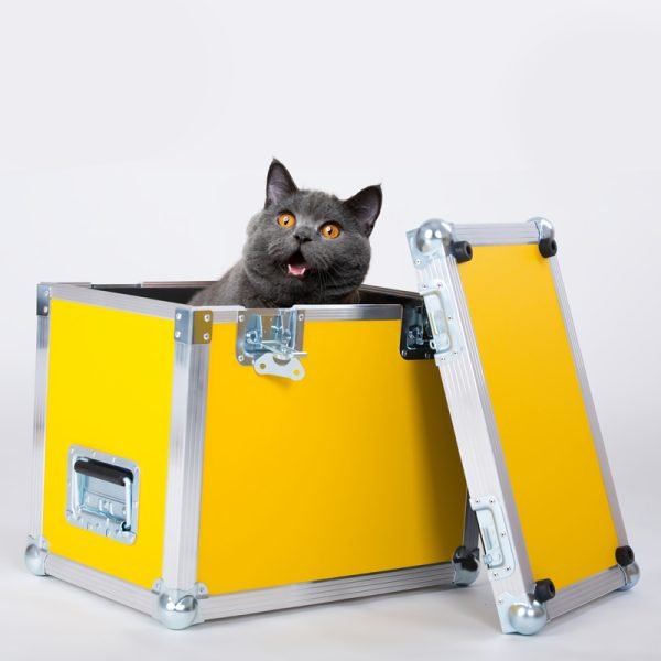 Poignée de flight case sur un barner hardware